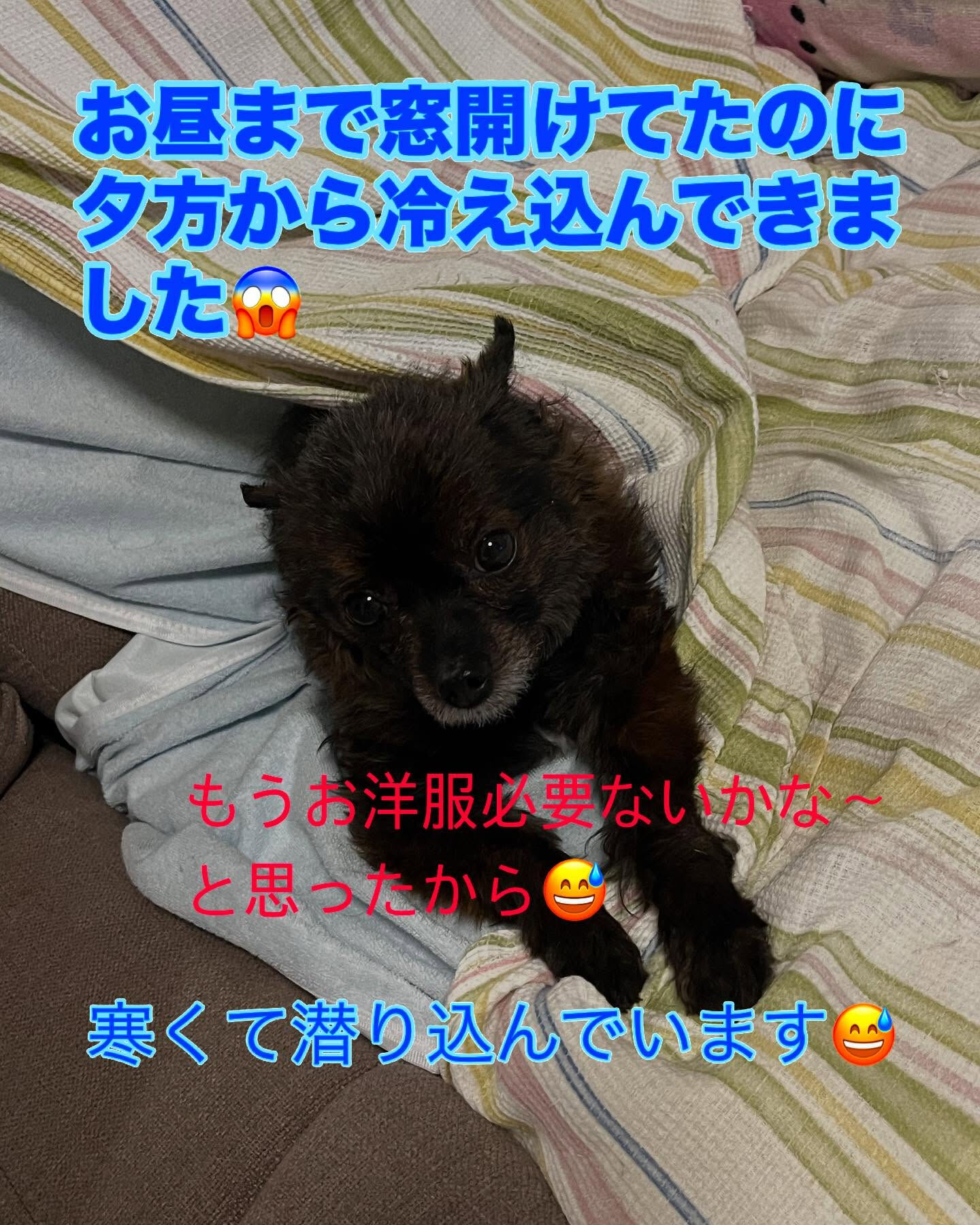 朝晩はまだ肌寒いですね🥲