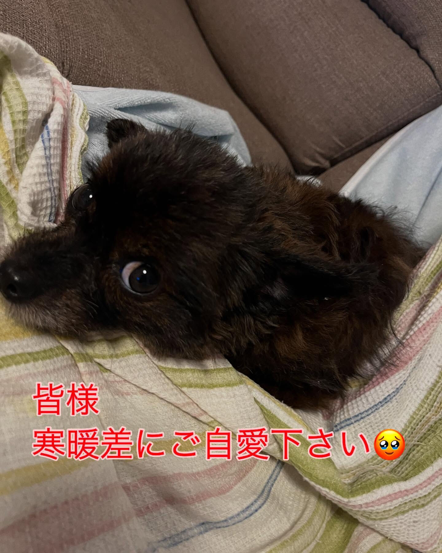 朝晩はまだ肌寒いですね🥲