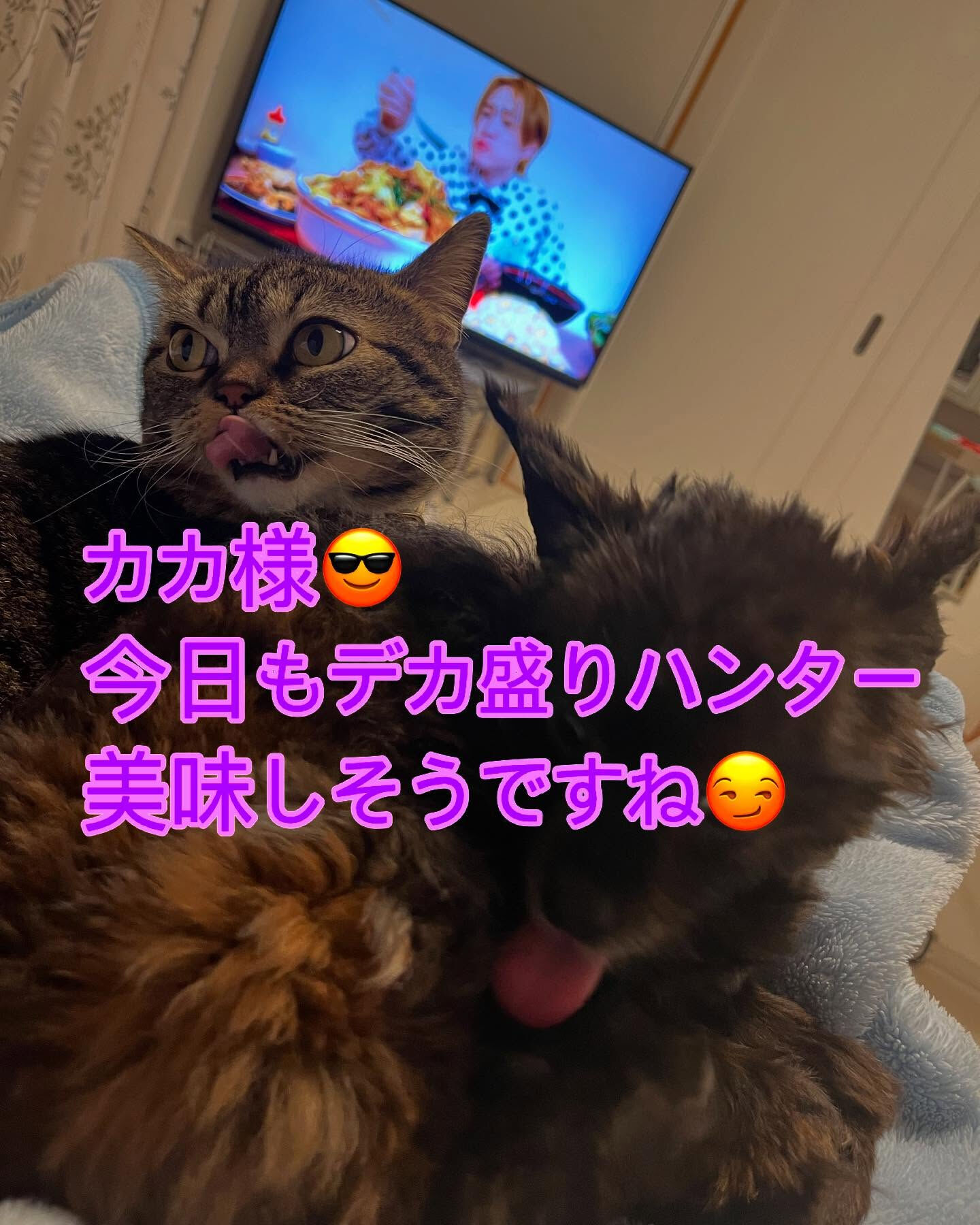 今日も終わりました〜