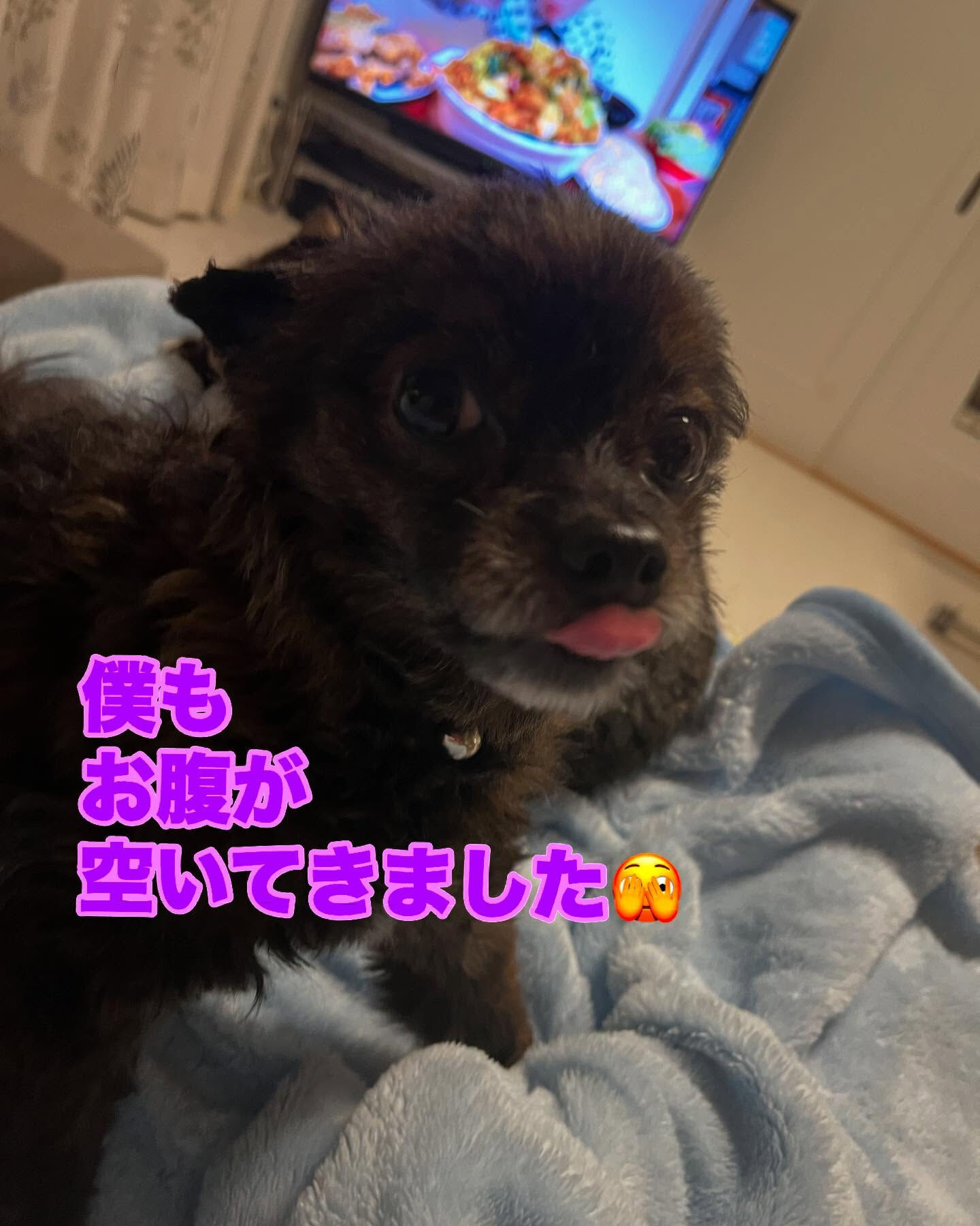 今日も終わりました〜