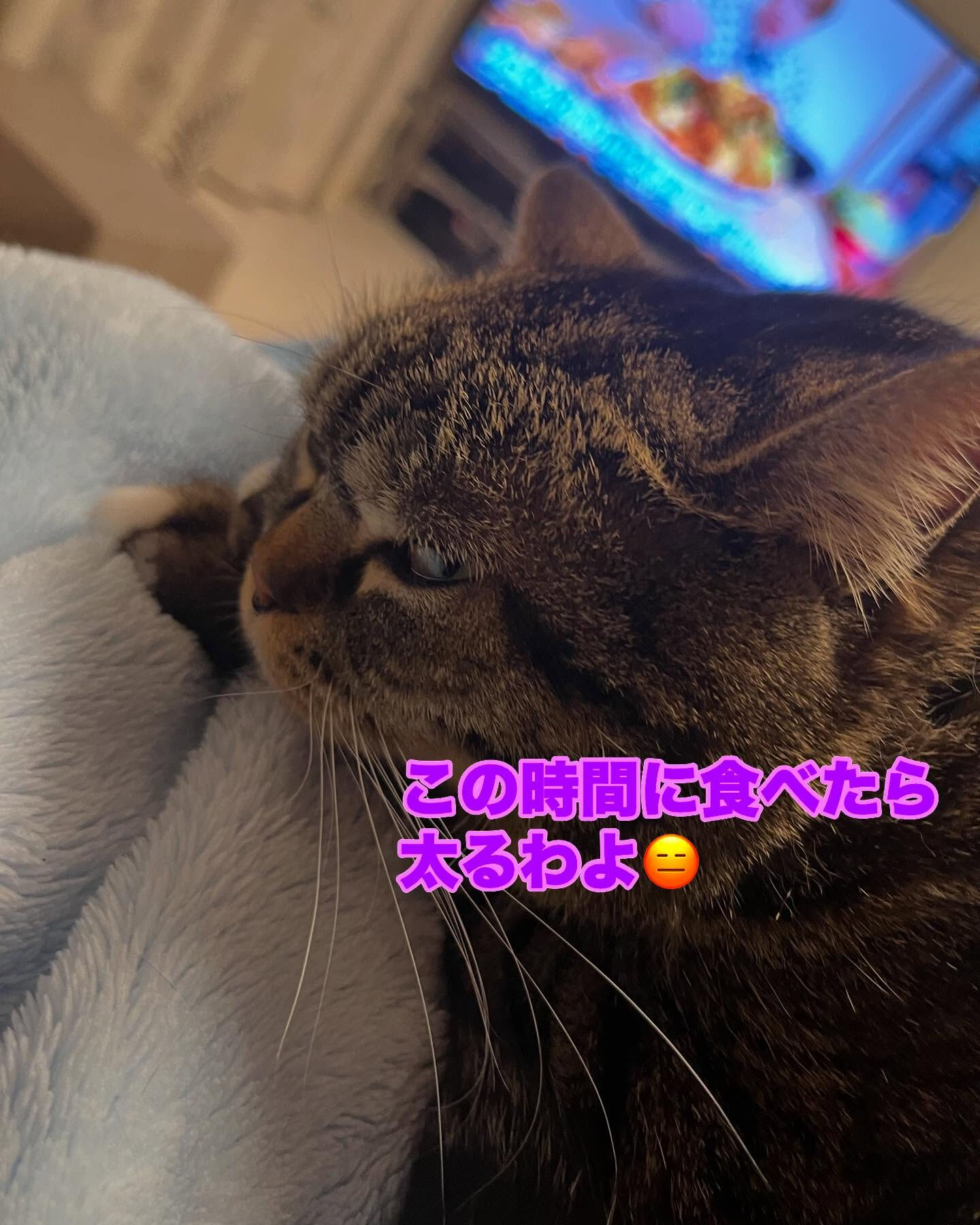今日も終わりました〜