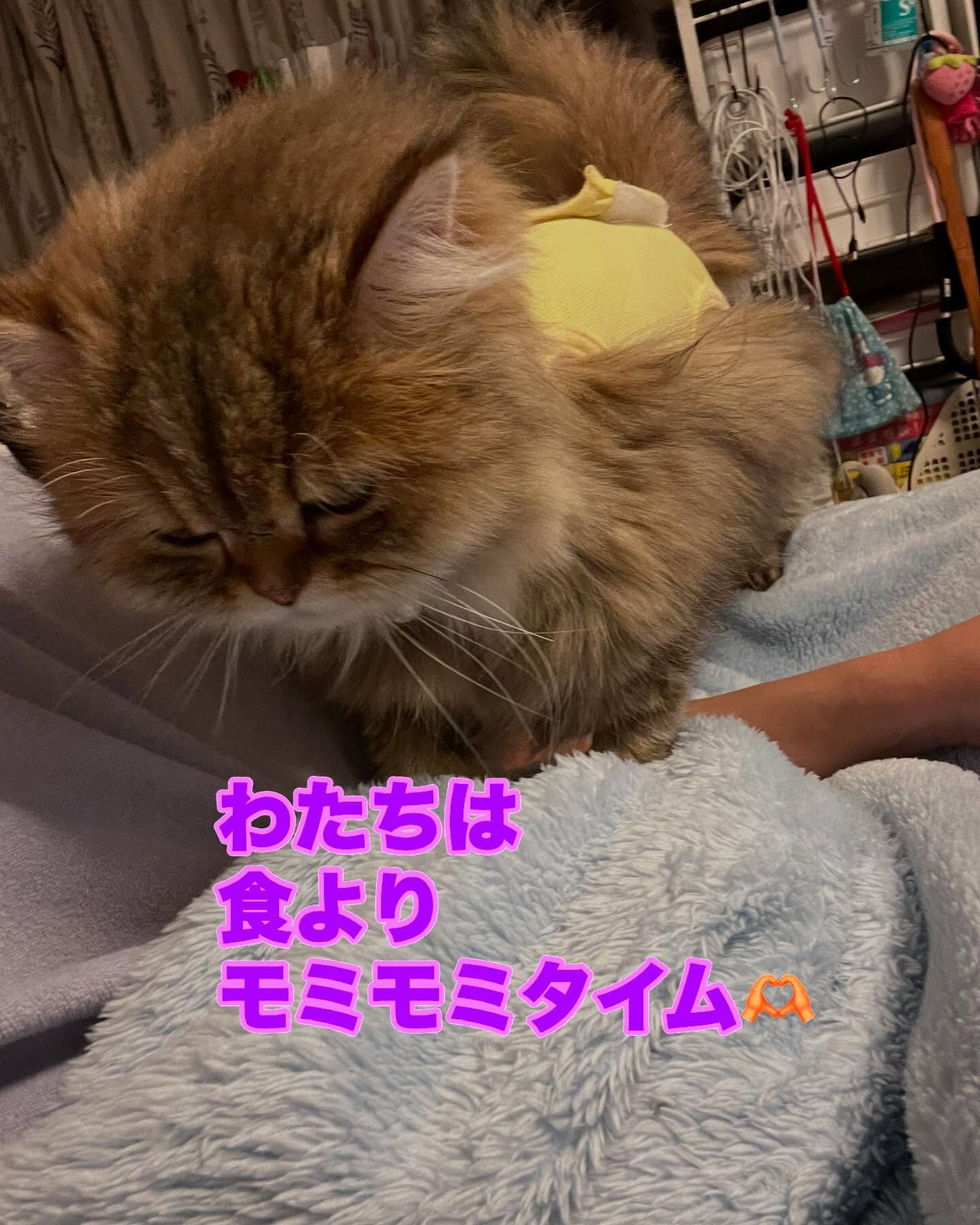 今日も終わりました〜
