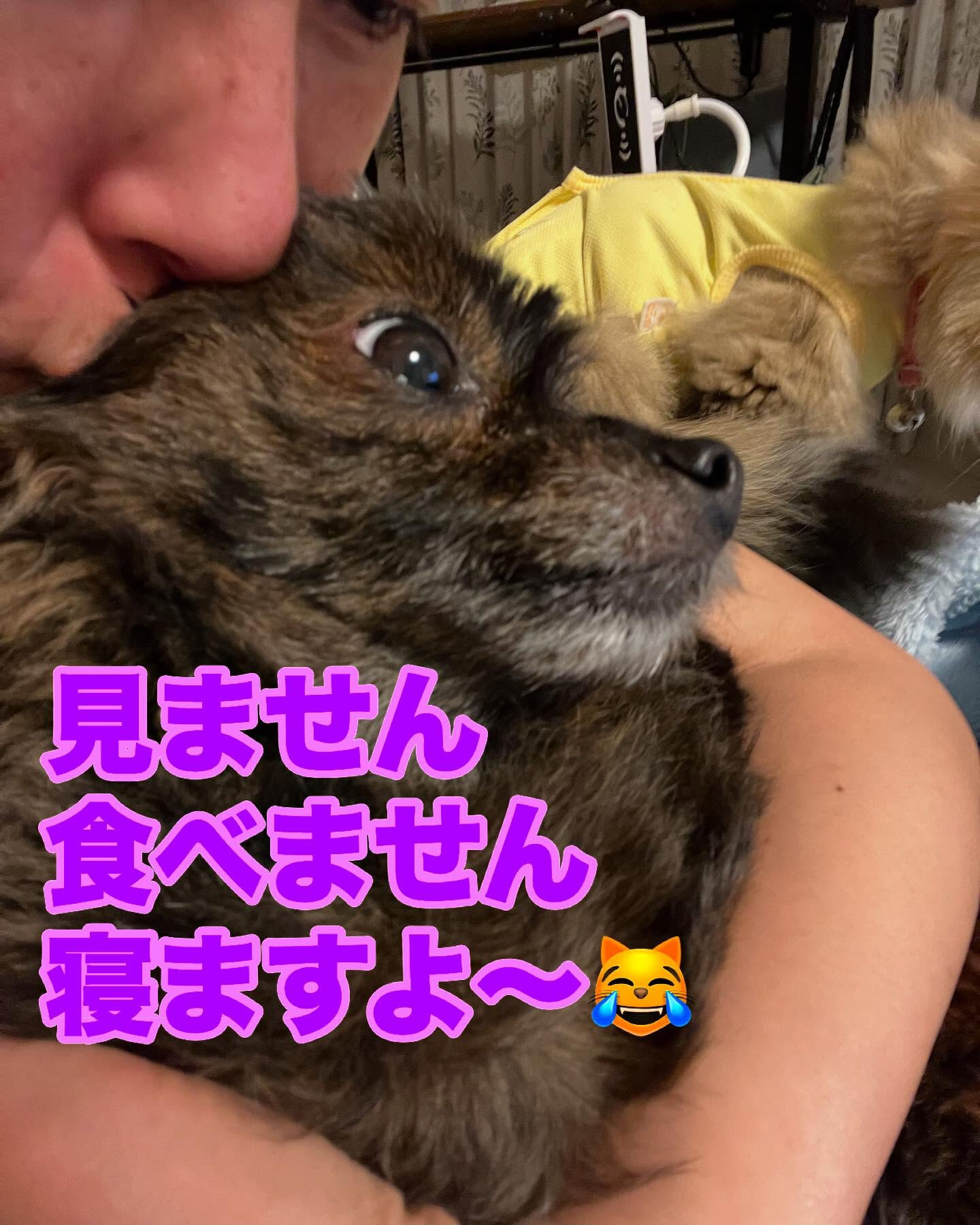 今日も終わりました〜