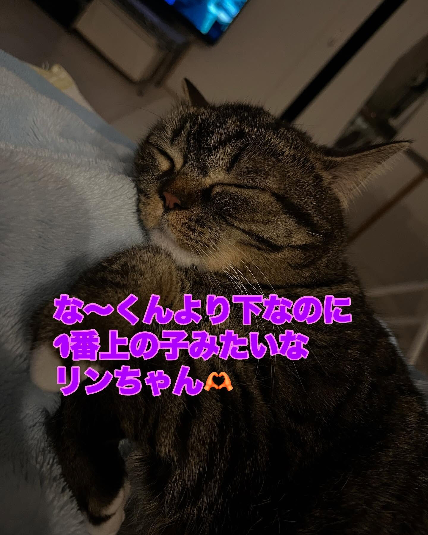 今日も終わりました〜