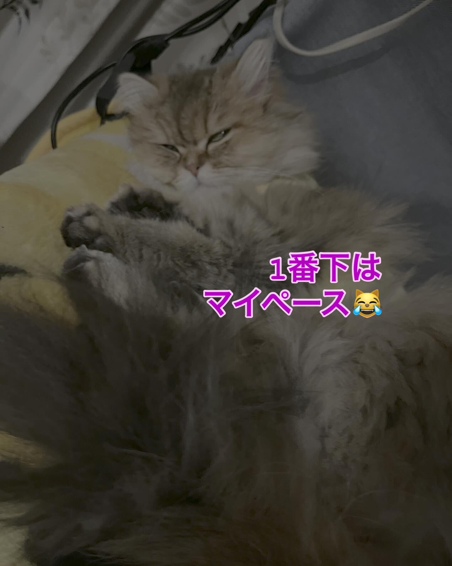今日も終わりました〜